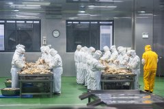 前国度卫健委牵头的预制菜国度尺度即将公开收